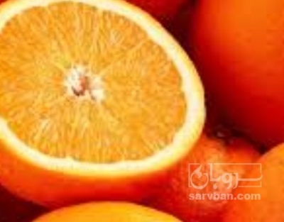 فروش پرتقال