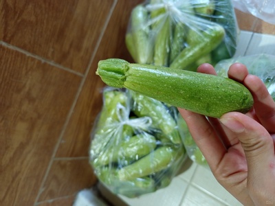 فروش کدوسبز