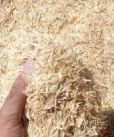 فروش کاه و کلش گندم | سروبان