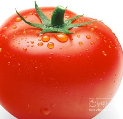 فروش گوجه فرنگی