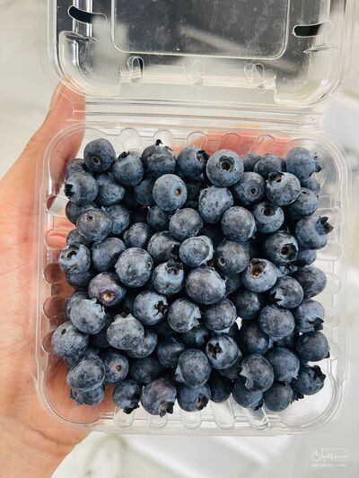 فروش بلوبری