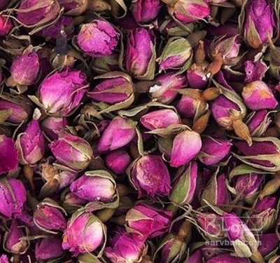 فروش گل محمدی (گیاه‌ دارویی)