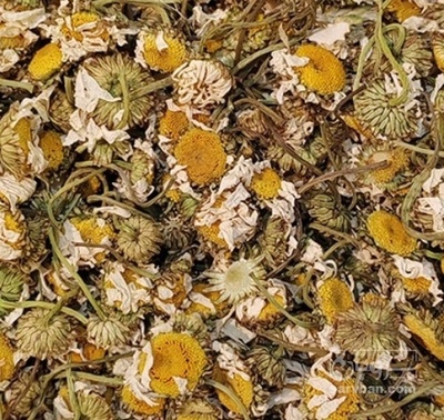 فروش بابونه (گیاه‌ دارویی)