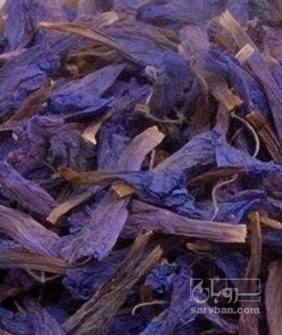 فروش گل گاو زبان - گاوزبان (گیاه‌ دارویی)