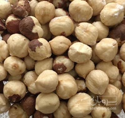 فروش مغز فندق