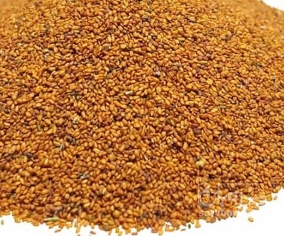 فروش خاکشیر (گیاه‌ دارویی)