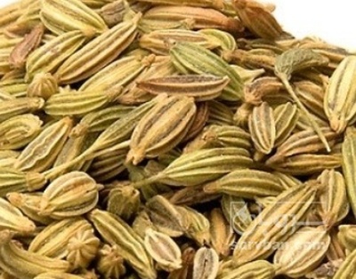 فروش رازیانه (گیاه‌ دارویی)