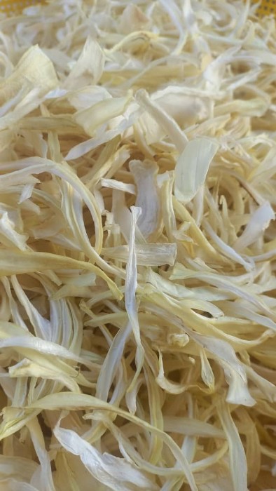 فروش پیاز خشک (گیاه‌ دارویی)