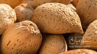 فروش بادام سنگی