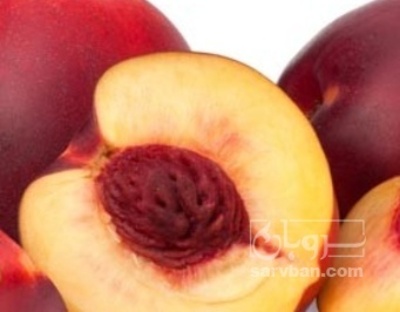 فروش شلیل