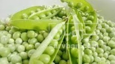 فروش نخود فرنگی