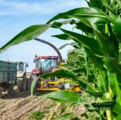 فروش چاپر ذرت - سیلاژ ذرت