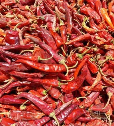 فروش فلفل قلمی قرمز خشک