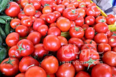 فروش گوجه فرنگی