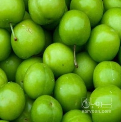 فروش گوجه سبز