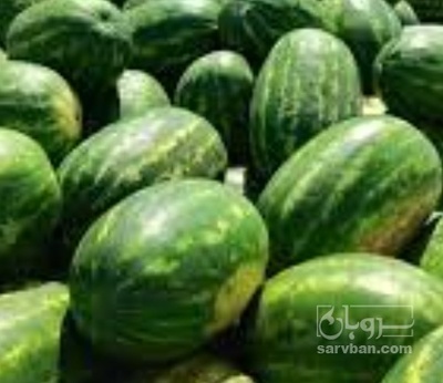 فروش هندوانه بیضی | سروبان