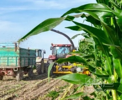 فروش چاپر ذرت - سیلاژ ذرت