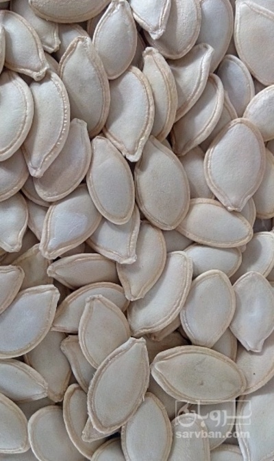 فروش تخمه  کدو بو داده