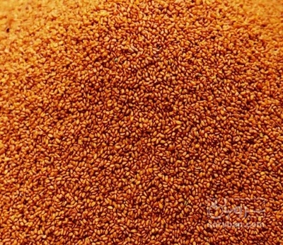 فروش خاکشیر (گیاه‌ دارویی)