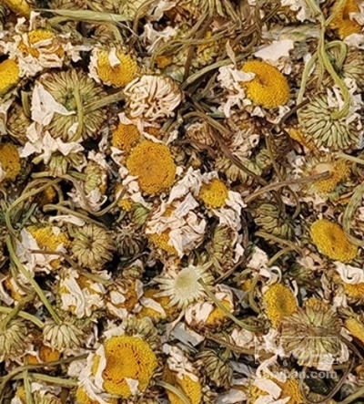 فروش بابونه (گیاه‌ دارویی)