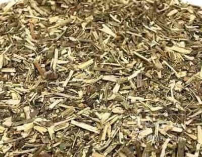 فروش کاسنی (گیاه‌ دارویی)