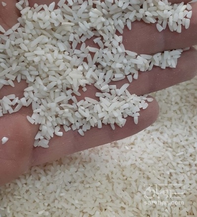 فروش برنج لاشه هاشمی