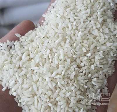 فروش برنج لاشه  فجر سوزنی