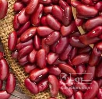 فروش  لوبیا قرمز بذری | سروبان