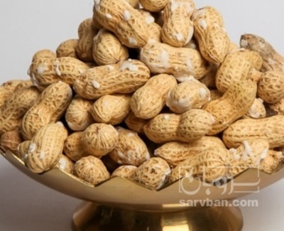 فروش بادام زمینی با قلاف