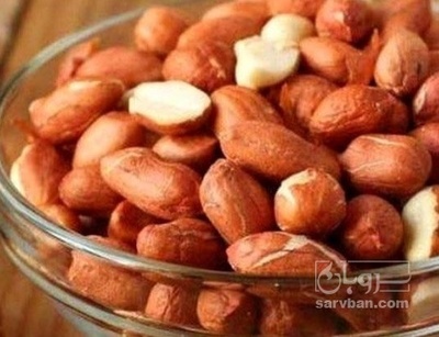 فروش بادام زمینی برشته بی قلاف