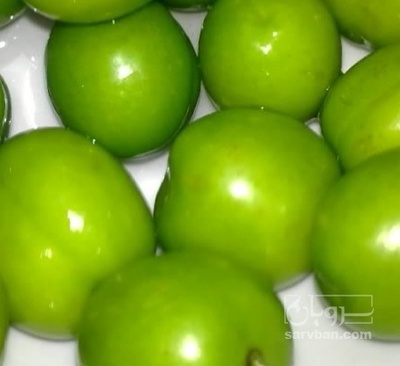 فروش گوجه سبز