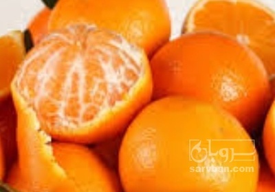 فروش نارنگی
