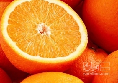 فروش پرتقال