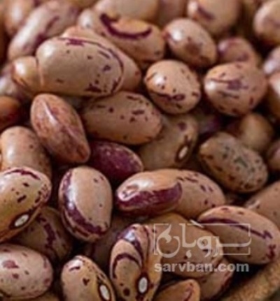 فروش لوبیا چیتی