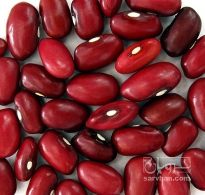 فروش لوبیا قرمز