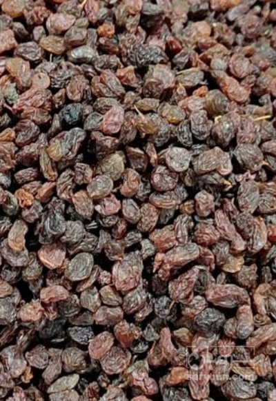 فروش مویز ابگیری