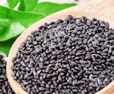 فروش تخم شربتی