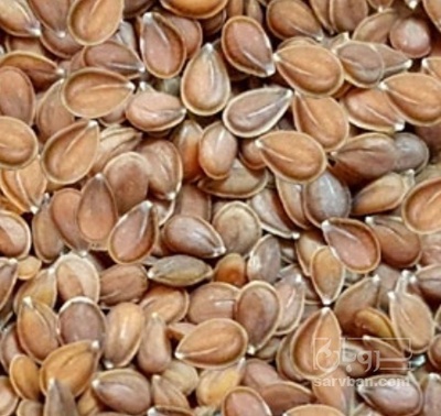 فروش قدومه (گیاه‌ دارویی)