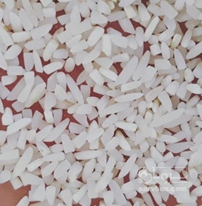 فروش برنج سرلاشه کامفیروزی