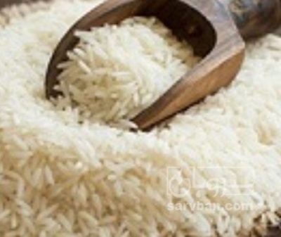فروش برنج کامفیروزی