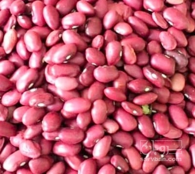فروش لوبیا قرمز