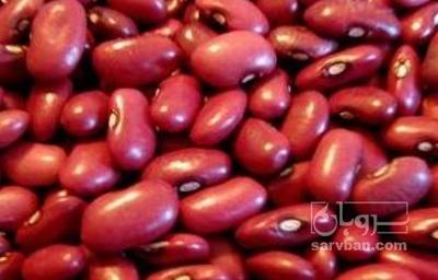 فروش لوبیا قرمز