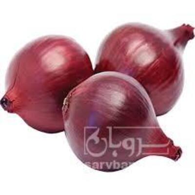 فروش پیازقرمز