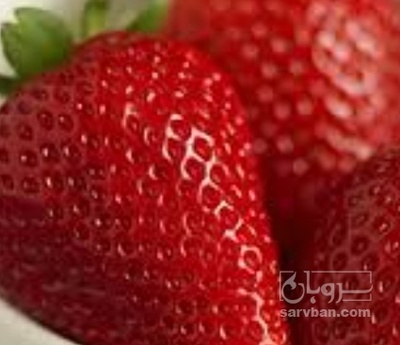فروش توت فرنگی | سروبان