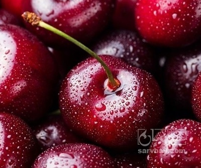 فروش گیلاس