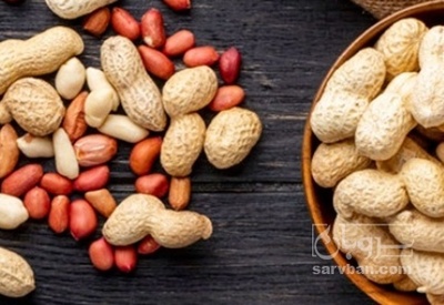 فروش بادام زمینی با قلاف