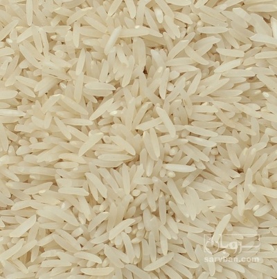فروش برنج فجر