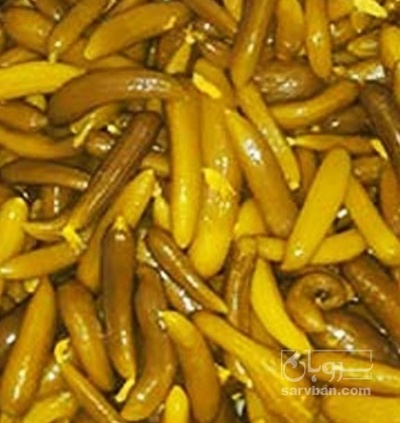 فروش خیار  شور ممتاز