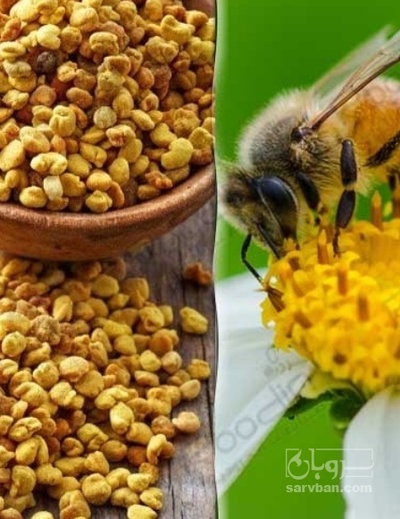 فروش گرده گل