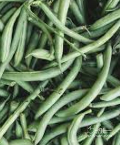 فروش لوبیا سبز